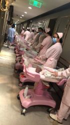 点击看大图 -蜜悦居月子中心(国金中心店)