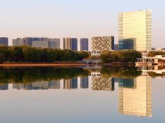 -大兴滨河森林公园