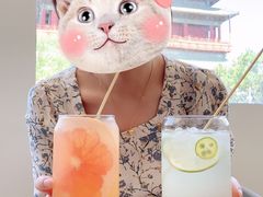 西柚茶-苦尽酒馆·川菜(鼓楼店)