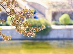 -海棠花溪(元大都城垣遗址公园)
