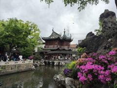 -豫园