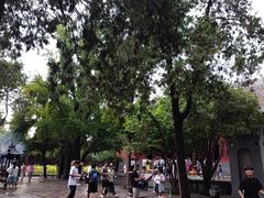-洛阳白马寺
