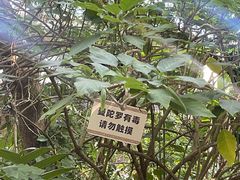 -曼听御花园