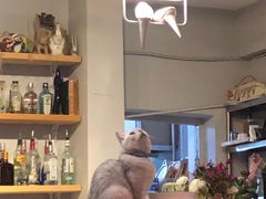 -小时光咖啡馆(北锣鼓巷店)
