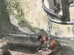 -柳州市动物园