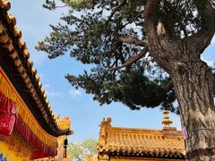 -五台山风景名胜区