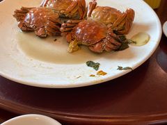-国家五钻酒家·西樵旺阁渔村(西樵店)