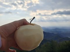 -泰山风景名胜区