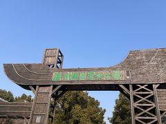 -溱湖国家湿地公园