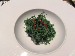 -觀芷隐轩