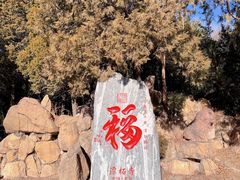 -潭柘寺景区