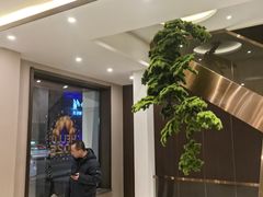 -正清和·推拿养生(二七广场店)