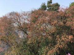 -方岩风景区