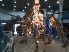 -国家自然博物馆