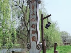 -溱湖国家湿地公园