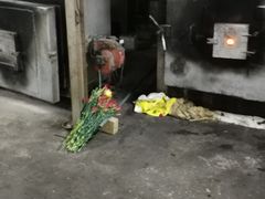 -彩虹桥宠物火化殡葬善终服务(金乐大厦店)