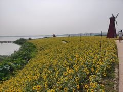 -下渚湖国家湿地公园科普馆