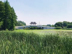 -东湖落雁景区