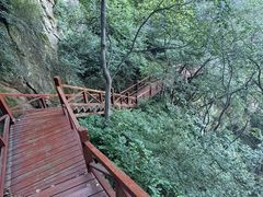 -大岭沟猕猴桃谷风景区