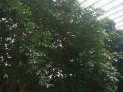 android_upload_pic-龙达温泉生态城