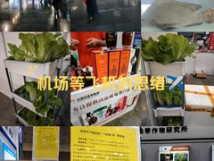 -南宁国际会展中心(会展东博文化旅游区)