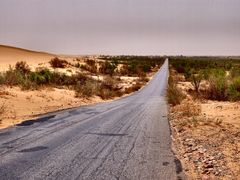 -亿利库布其七星湖沙漠生态旅游区