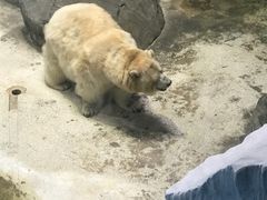 -海合安武汉极地海洋公园