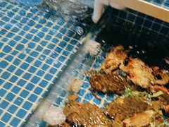 -阿明小菜·海鲜·上海菜(梅陇华理店)