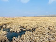 -野鸭湖国家湿地公园