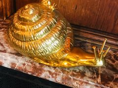 -金蜗牛