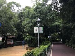 -金鸡山公园