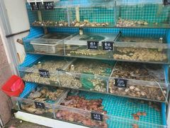 -北戴河庆山饭店·海鲜砂锅粥(北戴河黑石路店)