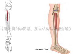 -OneFit健身(汇锦城店)