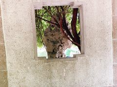 -郑和公园