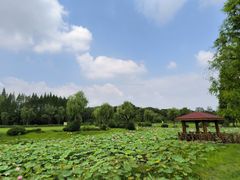 -宜兴龙背山森林公园