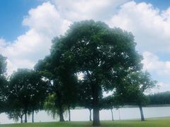 -上海月湖雕塑公园