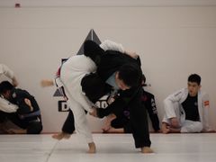 -DEFGROUP·巴西柔术·拳击·摔跤(世纪大道馆)