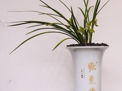 -郭庄景区