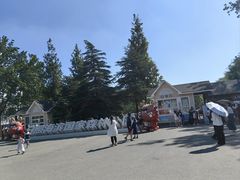 -日照海滨国家森林公园
