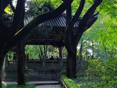 -汇龙潭