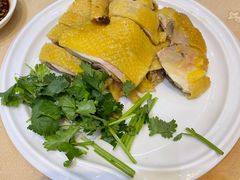 -瑞记湛江鸡饭店·粤西第一鸡(粤垦店)