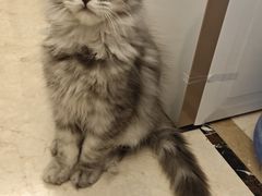 -宁波杉井奥特莱斯广场