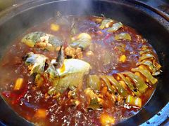 清江鱼-崔记生活·铁锅炖鱼粘卷子(总店)