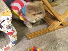 -小时光咖啡馆(开森度假森林店)