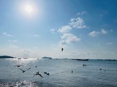-银沙滩浴场