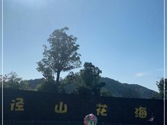 -径山花海
