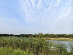 -梁子湖东篱老屋生态庄园