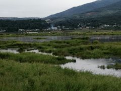 -腾冲北海湿地
