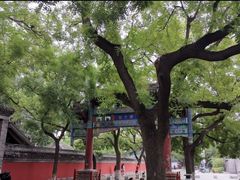 -北京国子监胡同