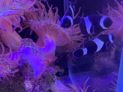 -双季花艺园艺市场(浦东店)